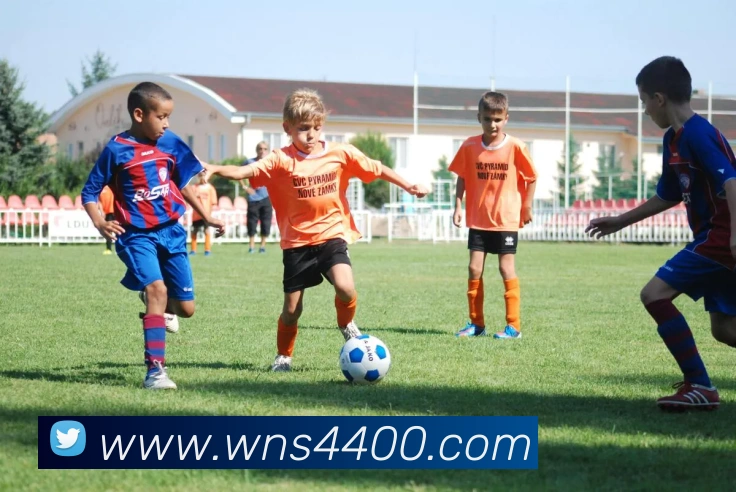 App Interface Preview