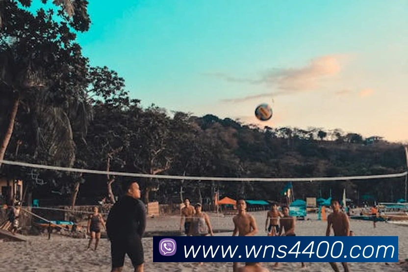 威尼斯人官方网站APP 封面图